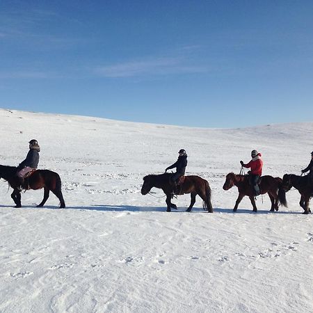Nomad Horse Camp Guest House Nalayh Eksteriør bilde