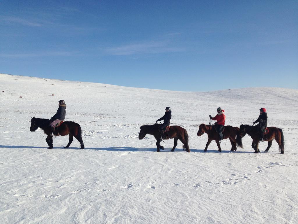 Nomad Horse Camp Guest House Nalayh Eksteriør bilde